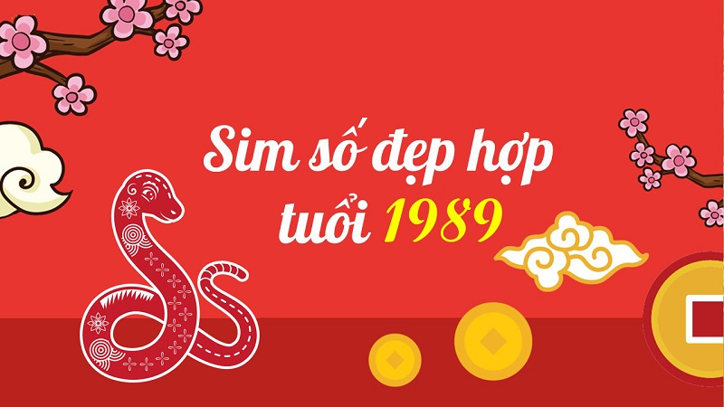 sim-hop-tuoi-1989-1