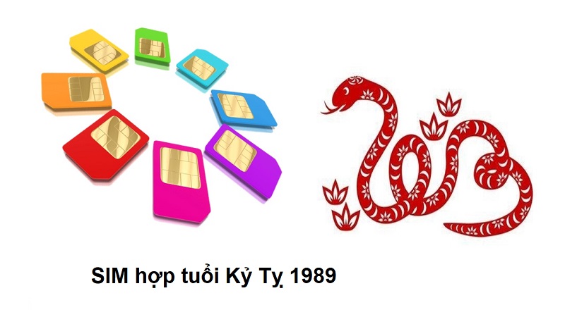 sim-hop-tuoi-1989