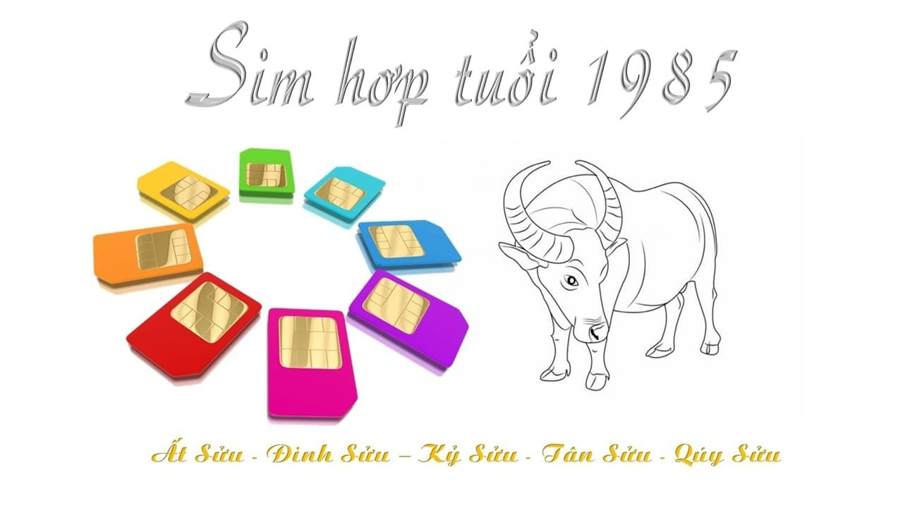 sim-hop-tuoi-1985