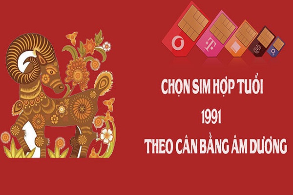 sim-hop-tuoi-1991