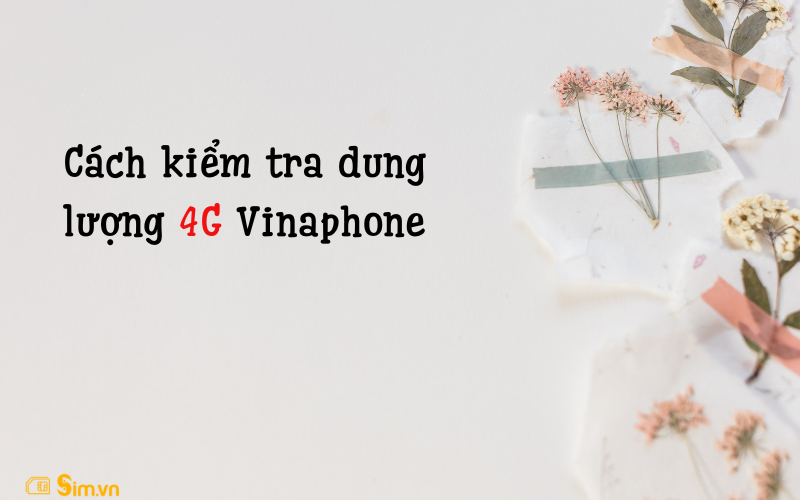 kiem-tra-dung-luong-4g-vinaphone (3)