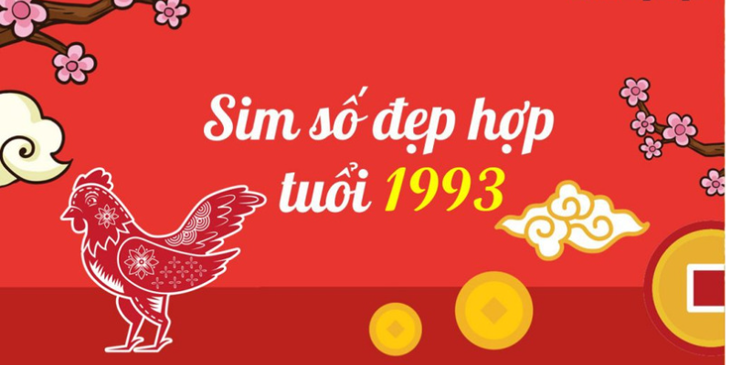 so-dien-thoai-hop-tuoi-quy-dau-1993