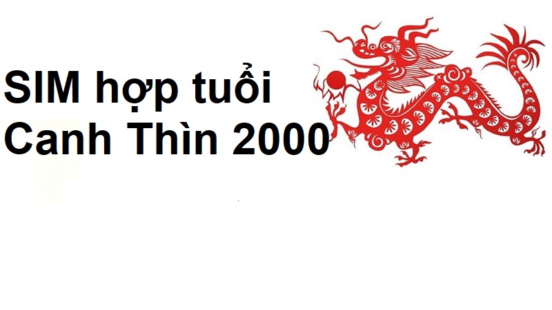 sim-hop-tuoi-2000-2