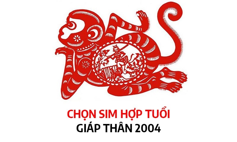 sim-hop-tuoi-2004-3