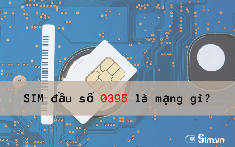 0395-la-mang-gi-1