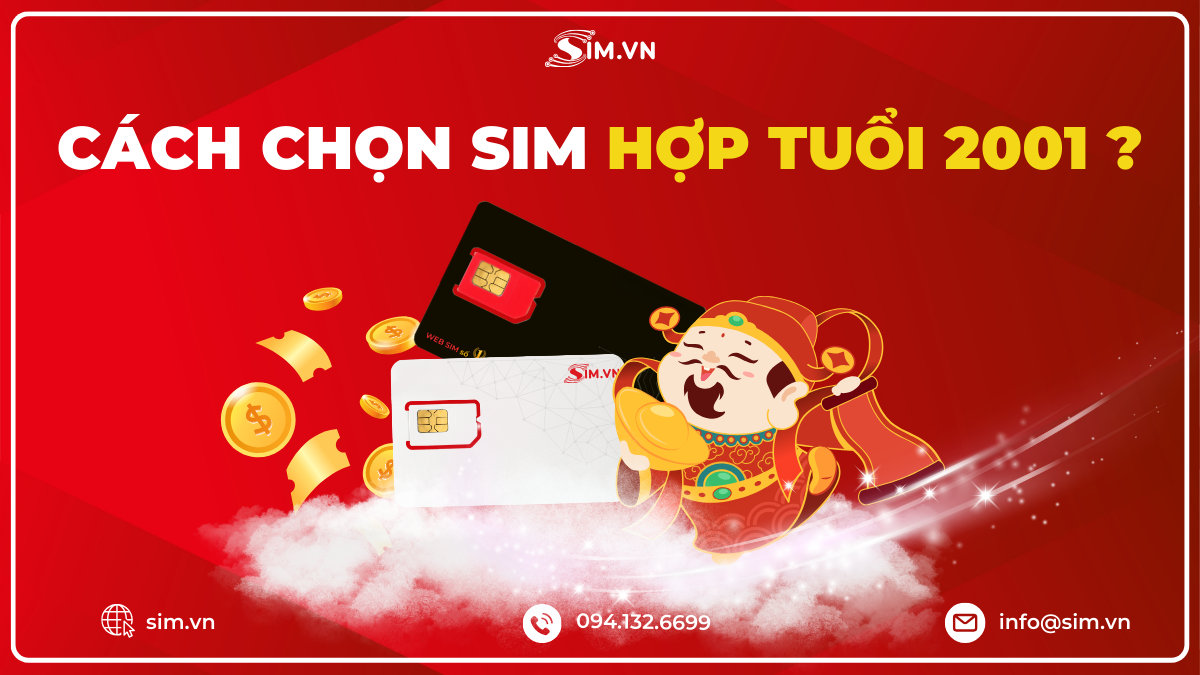 Hướng dẫn chọn sim hợp tuổi 2001