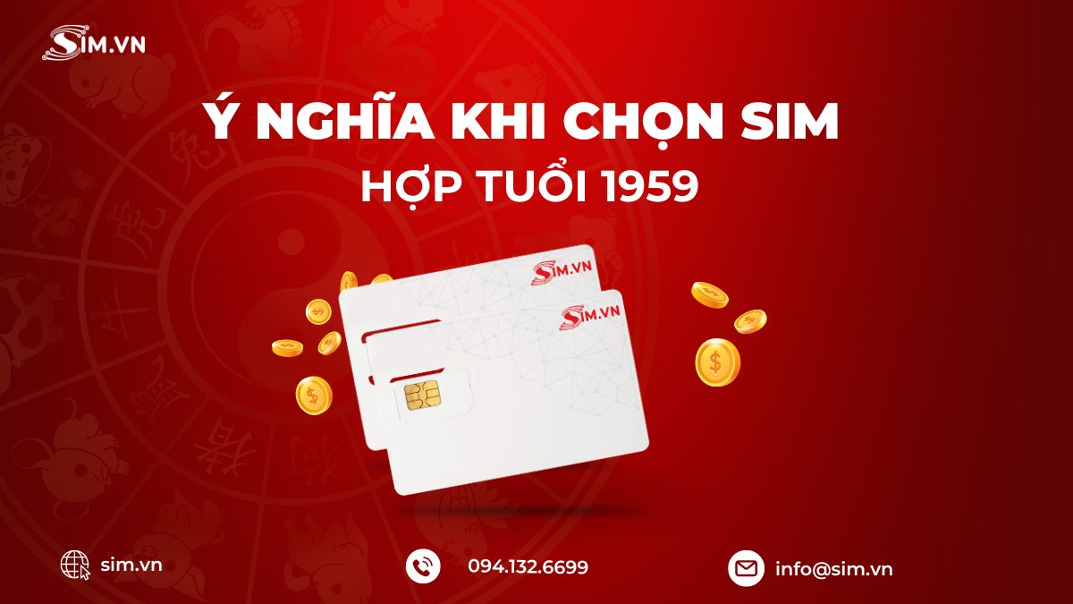 y-nghia-khi-chon-sim-hop-tuoi-1959